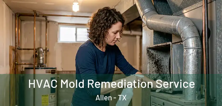  HVAC Mold Remediation Service Allen - TX