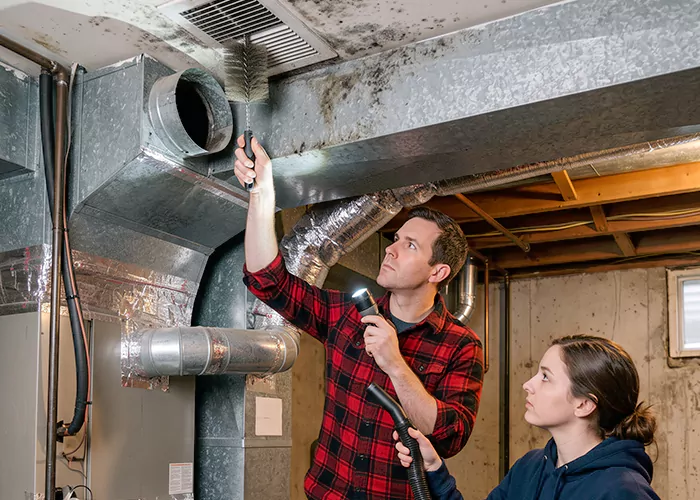 Premier HVAC Mold Remediation Company in Allen